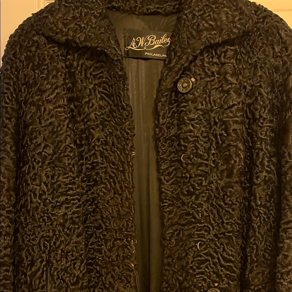 A W Bailey Black Curly Coat-Persian Lamb(?)